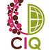 Centro Internacional de la Qui