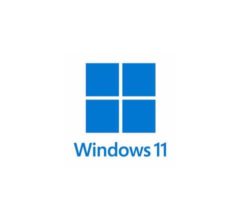 Windows 11 Pro/Enterprise