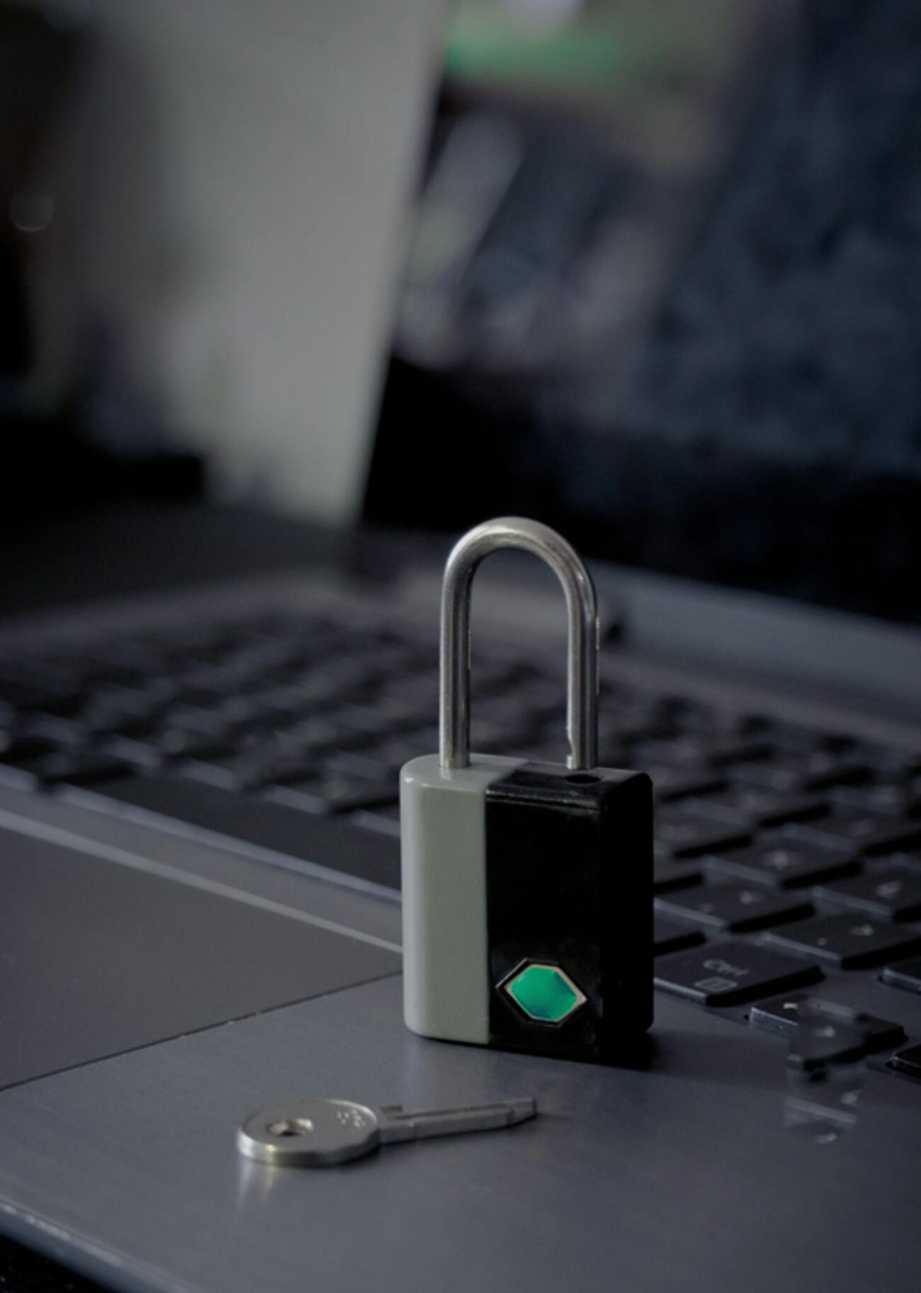 Laptops y computadoras de escritorio resguardadas por el agente de seguridad